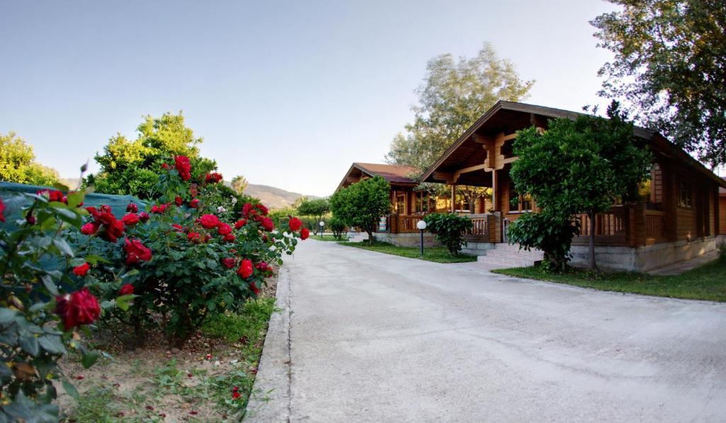 Sandy'S Studios Apartments & Log-Villas Kos By Eksteriør billede